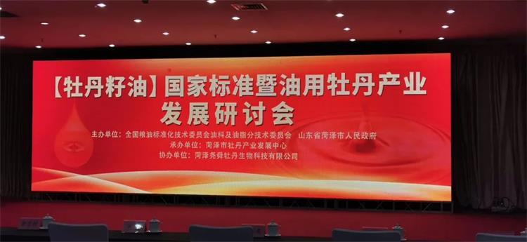 1598316982639960.jpg 1.webp.jpg