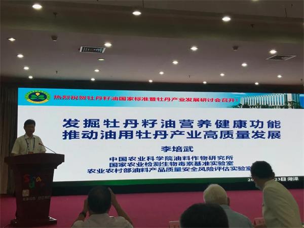 1598317208147379.jpg 4.webp.jpg